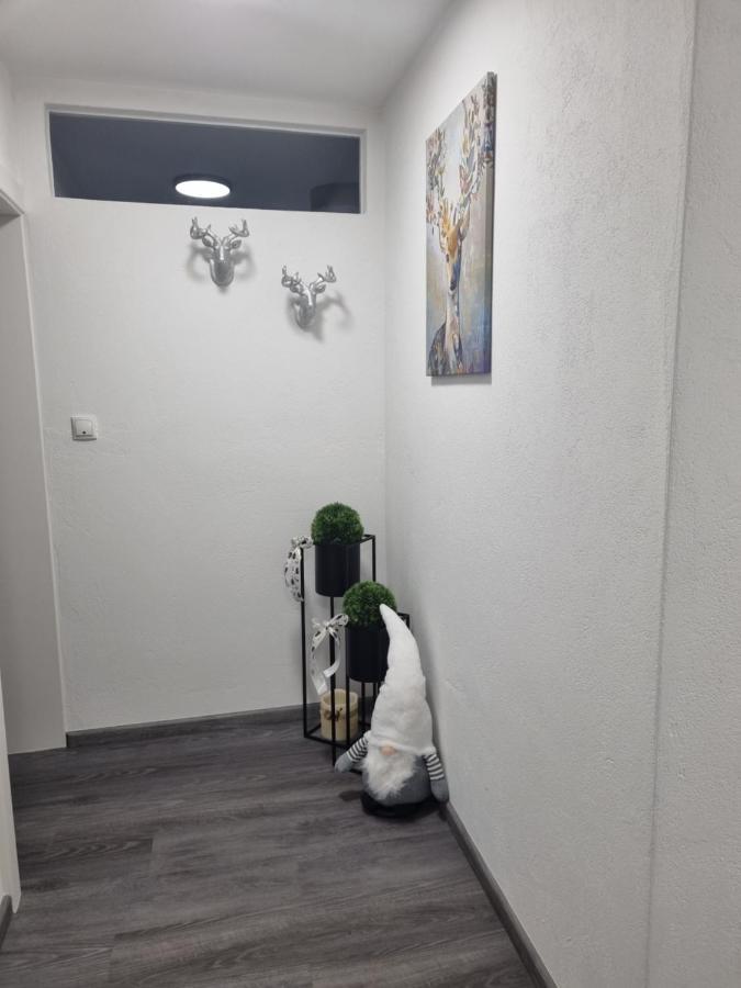Haus Schoenblick 施图拜河谷新施蒂夫特 外观 照片